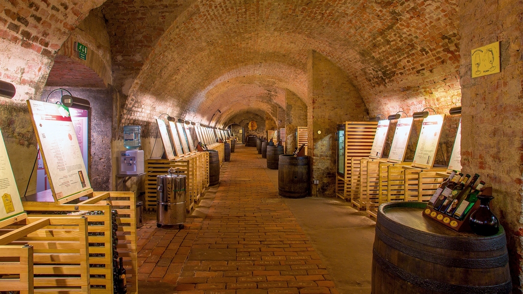 Expozice Salon vín České republiky, Salon vín České republiky