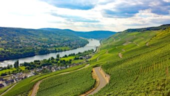 Graach an der Mosel (Německo, Mosela) - strmé svahy moselských vinic (pixabay.com)