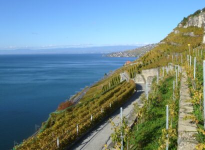 Lavaux (Švýcarsko, Vaud) - vinice ze seznamu UNESCO (swisswine.ch)