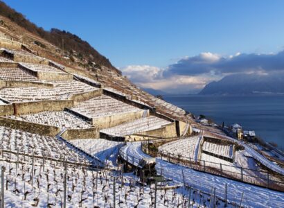 Lavaux (Švýcarsko, Vaud) - zima u Ženevského jezera (swisswine.ch)