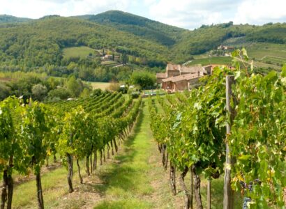 Toskánsko (Itálie) - zvlněná krajina Toskánska (pixabay.com)