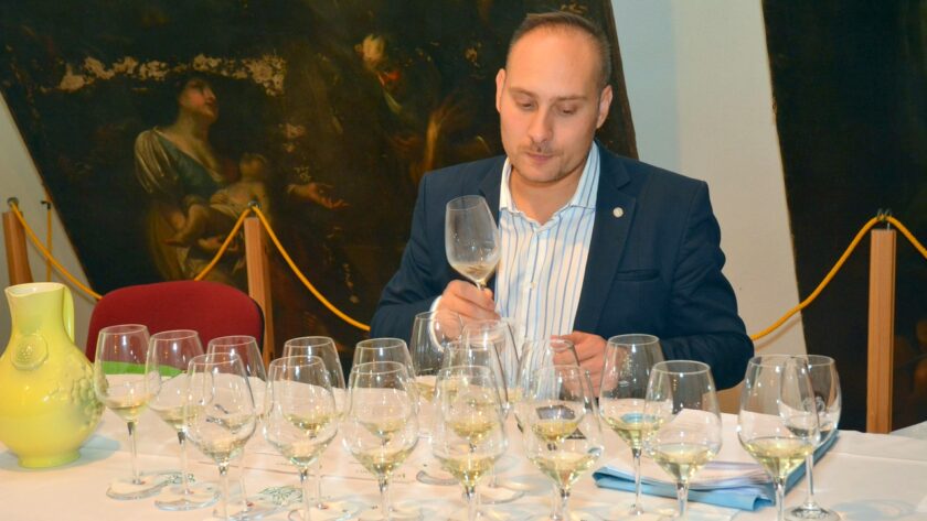 Vinaře VOC Znojmo čeká tradiční srpnové zatřiďování vín, 18 nových vín