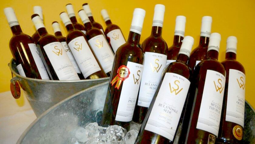 Degustace vín vinařství Sing Wine z Velkých Bílovic