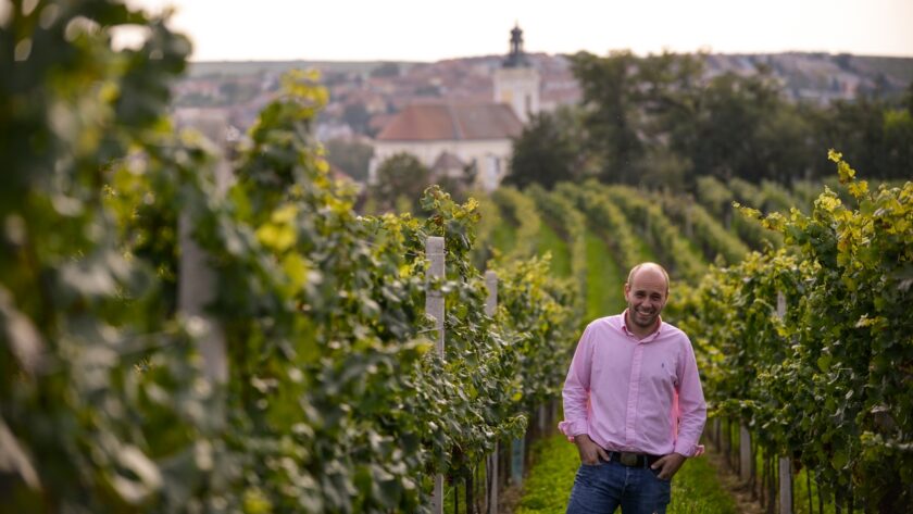 Jakub ŠAMŠULA – vinařství, ochutnávka vín Jakuba Šamšuly