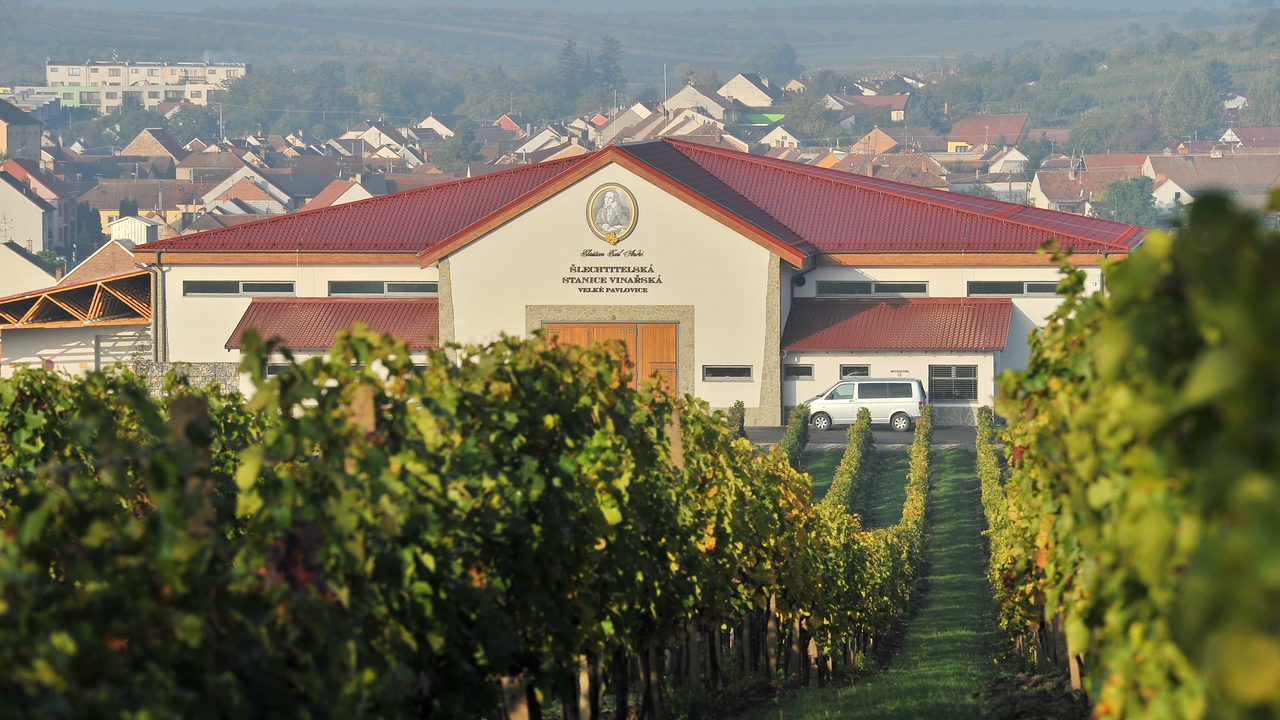 Šlechtitelská stanice vinařská Velké Pavlovice, a.s.