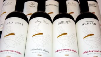 Chianti má černého kohouta. Velkobílovičtí vinaři slípku