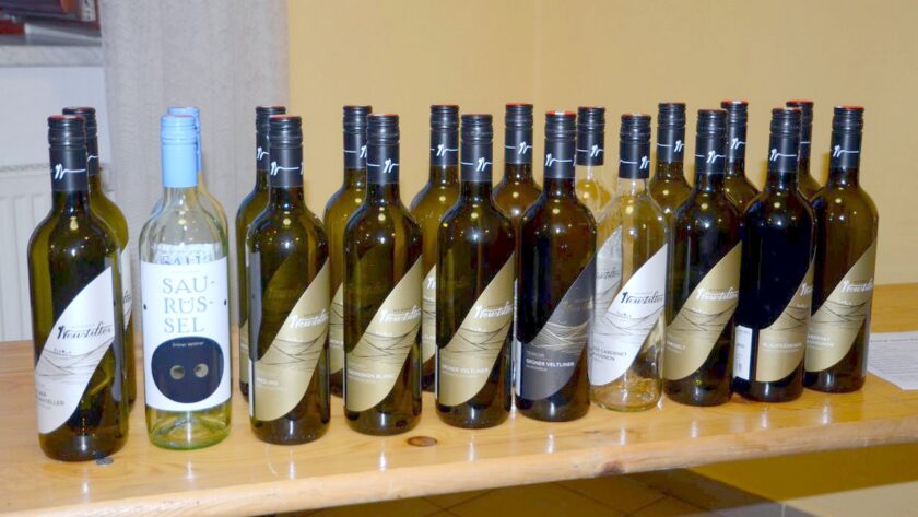 Degustace vín Weingut Neustifter z rakouského Poysdorfu