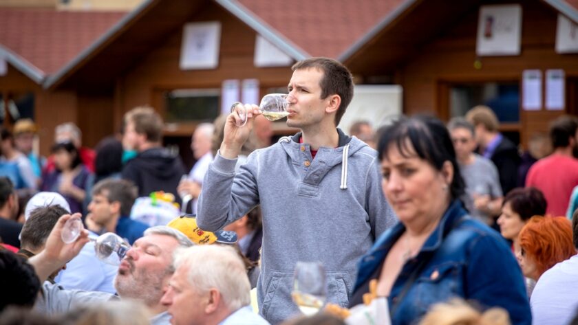 Jubilejní Festival vína VOC Znojmo navštívilo 7 500 lidí