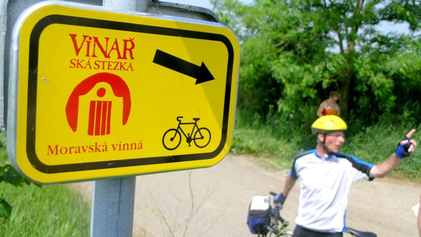 Moravské vinařské stezky na Kyjovsku zvou na cyklovýlet