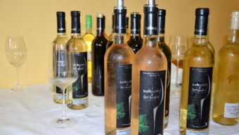 Degustace slovenského vinařství Dubovský & Grančič