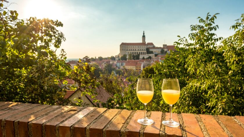 První burčák již za týden, legální a hlavně kvalitní