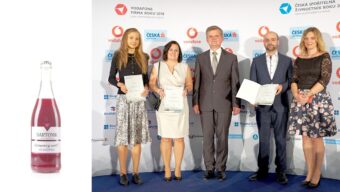 Živnostník roku 2018: jižní Moravě vládne Hana Bartoníková