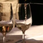 Tradiční košt vín Pasohlávky