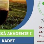 Vinařská akademie I - Kadet