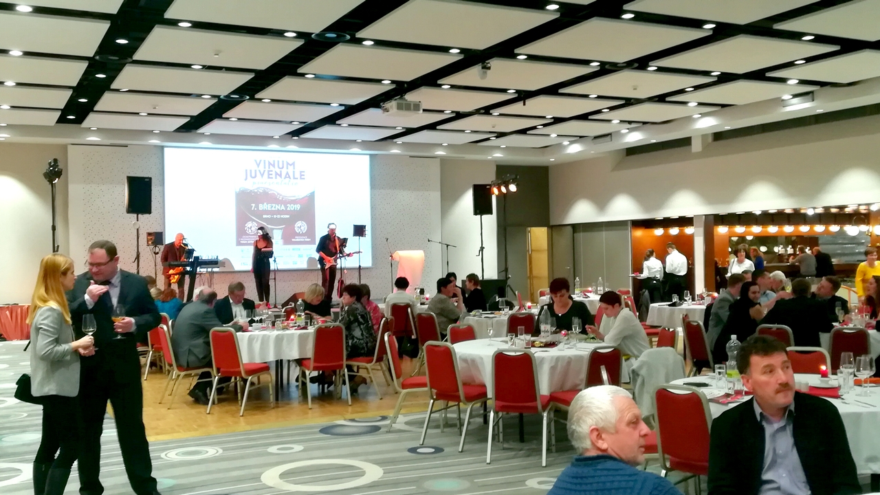 Vinum Juvenale 2018