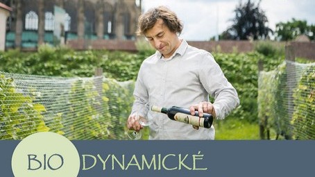 Biodynamické vinohradnictví a vinařství