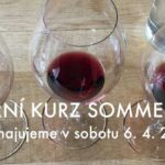 Jarní kurz Sommelier s certifikátem