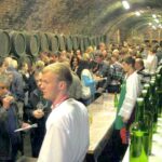 Tradiční výstava vín Mutěnice