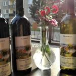 Degustace vín z Čejče s odborným výkladem a občerstvením