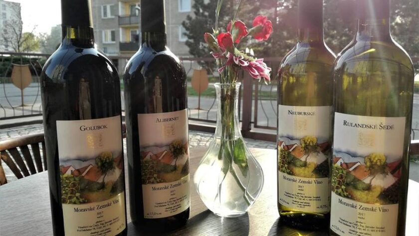 Degustace vín z Čejče s odborným výkladem a občerstvením