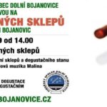Den otevřených sklepů Dolní Bojanovice 2019