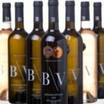 Ochutnávka vín vinařství B/V s country kapelou Medvědi