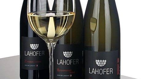Ochutnávka vín vinařství Lahofer s cimbálovkou Bécallica