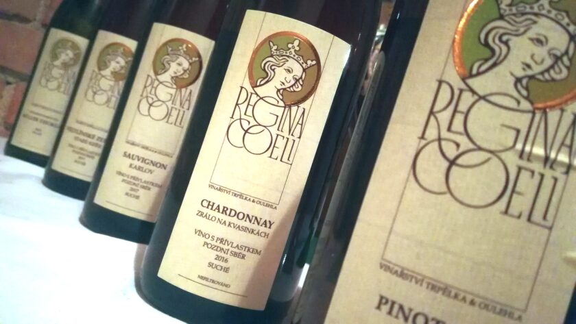 Degustace vín Regina Coeli – Vinařství Trpělka & Oulehla
