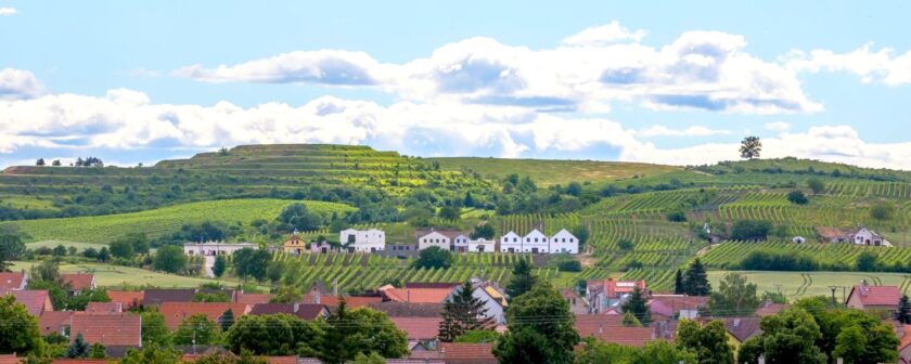 Dolní Dunajovice a Březí 2019