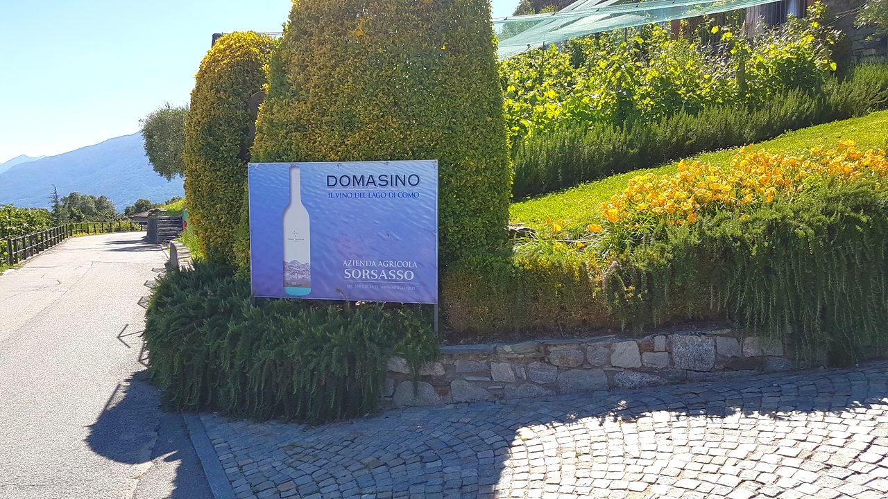 Vinařství Sorsasso v obci Domaso