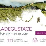 Galadegustace s italskými vinaři 2019
