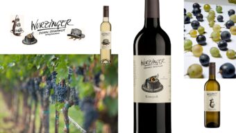 Degustace vín Weingut Wurzinger z jezerního koutu