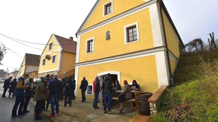 Den otevřených sklepů v Pavlově