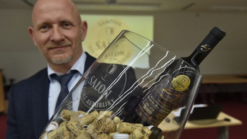 Vítězem Salonu vín 2020 je Rulandské modré z Dolních Dunajovic