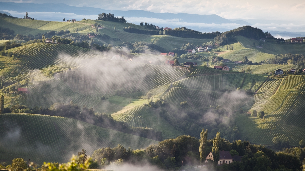 Rakousko, vinice ve Südsteiermark (foto: ÖWM - Anna Stöcher)