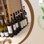 Vinařská akademie III – Vinařství světa