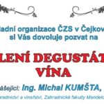 Školení degustátorů vína 2020 Čejkovice – pro začínající i zkušené