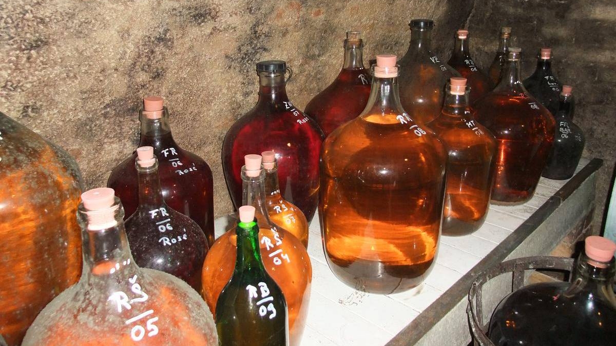 Noc otevřených sklepů Velké Němčice