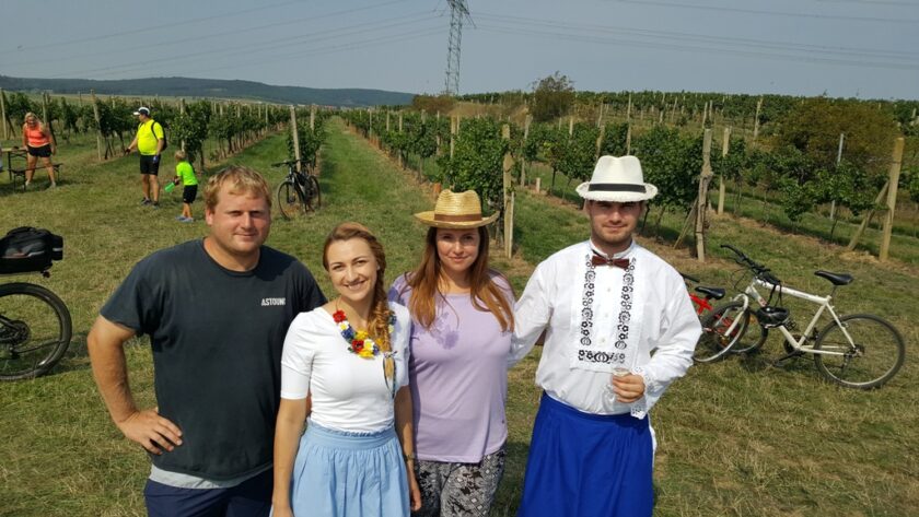 Tipy na vinařské akce na začátku srpna 2020