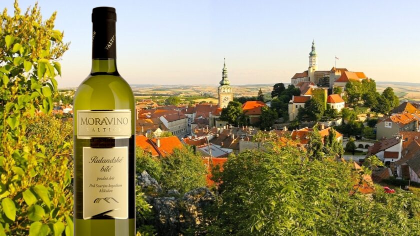 Vítězem Národní soutěže vín na Mikulovsku je Rulandské bílé