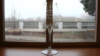 Championem Salonu vín 2021 Pinot blanc 2018 z vinařství Thaya