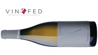 moravské Chardonnay mezi nejlepší vína