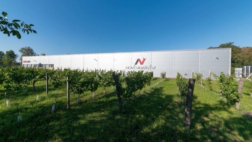 Nové Vinařství - online degustace