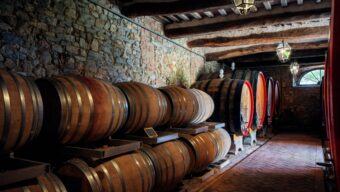 Toskánská vinařství Castello di Bossi a Renieri nově u Zebra Wines