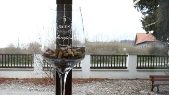Absolutním šampionem Salonu vín 2022 je Chardonnay z Bzence