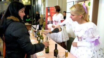 Festival otevře sklepy na Hustopečsku už tento víkend