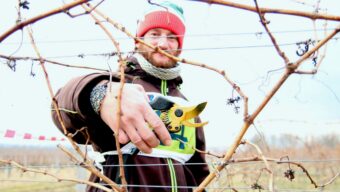 Proběhlo 17. Mistrovství ČR v řezu révy vinné