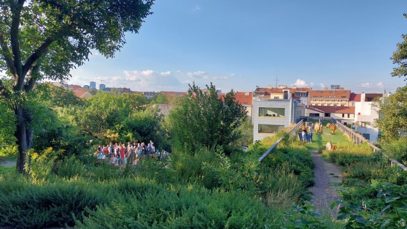 Vinařské mládí ukázalo v Brně klasiku i punková vína