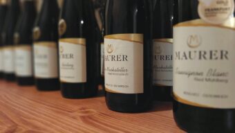 Weingut Maurer: elegantní vína ze západního Weinviertelu