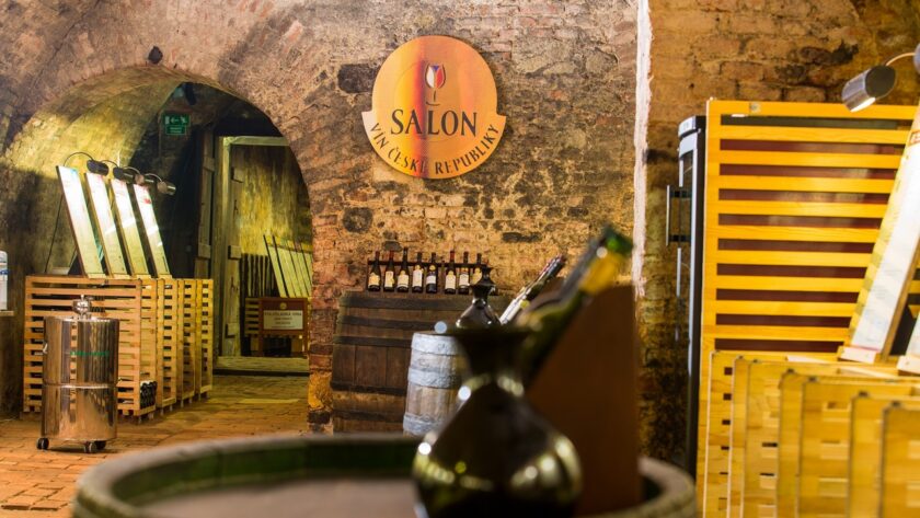 Salon vín ČR